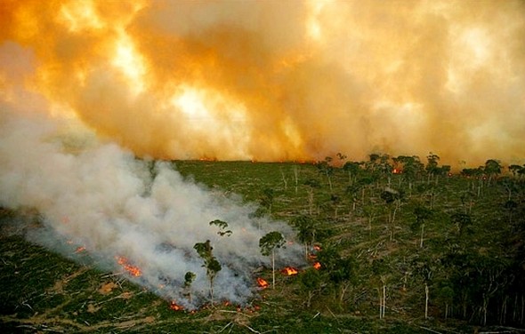Will REDD protect forests against fire? / Daniel Beltra Climate change and Indonesia